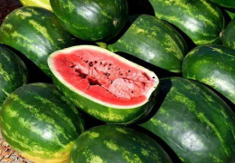 娱乐吃瓜素材在哪找到的,娱乐吃瓜素材的来源大揭秘