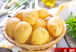 娱乐吃瓜小金土豆,揭秘吃瓜群众背后的土豆人生