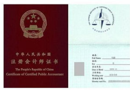 中国注册会计师协会,推动行业规范发展，保障审计质量
