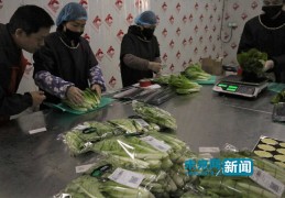 【网络媒体走转改】土地流转起来农村发展活起来 山泉水种番茄“甜透”国内外