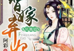 凤凰错替嫁弃妃免费阅读,替嫁弃妃的逆袭之路