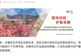 攀枝花招标,攀枝花市最新招标项目汇总及概述
