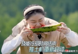 娱乐吃瓜地背后是谁,是谁在操控娱乐圈风云？