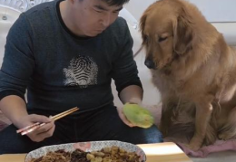 娱乐吃瓜酱金毛,吃瓜酱带你领略娱乐圈的欢乐瞬间