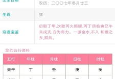 名字测试免费测名字,免费测名字，探寻个性与命运的奥秘