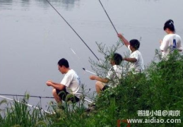 上海钓鱼网,揭秘城市钓鱼乐趣与技巧