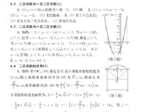 九下数学补充习题答案,九年级下册数学补充习题答案解析与概述