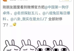 娱乐吃瓜大流量,揭秘吃瓜大流量背后的故事