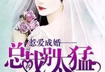 惹爱成婚:腹黑首席太迷人,一场意外引发的甜蜜婚姻