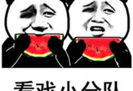 吃瓜娱乐小狗表情包,萌态百出，笑料横生