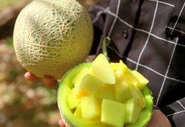 111娱乐吃瓜,揭秘娱乐圈的“吃瓜”盛宴